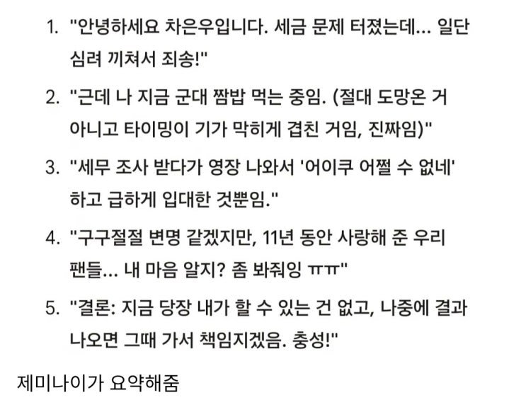 차은우 입장문 해석 5줄요약