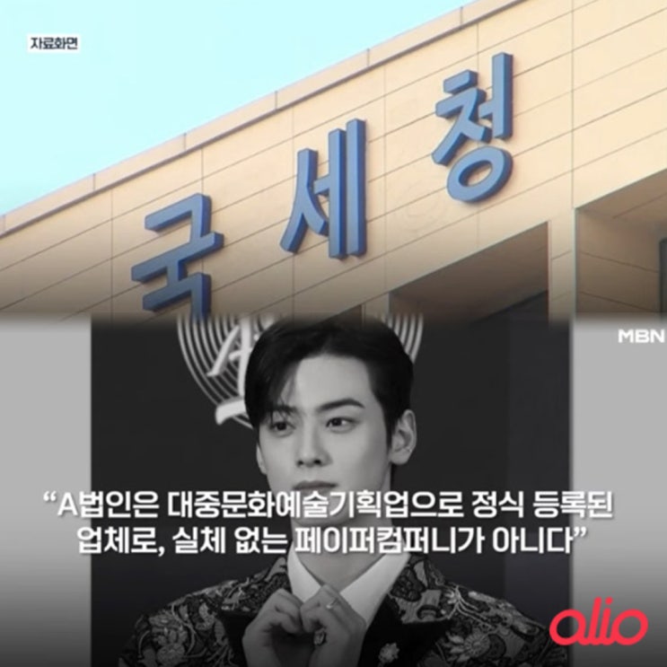 국세청 <b>차은우</b> 200억 유령회사 조사 강화군이 조세 피난처라고?