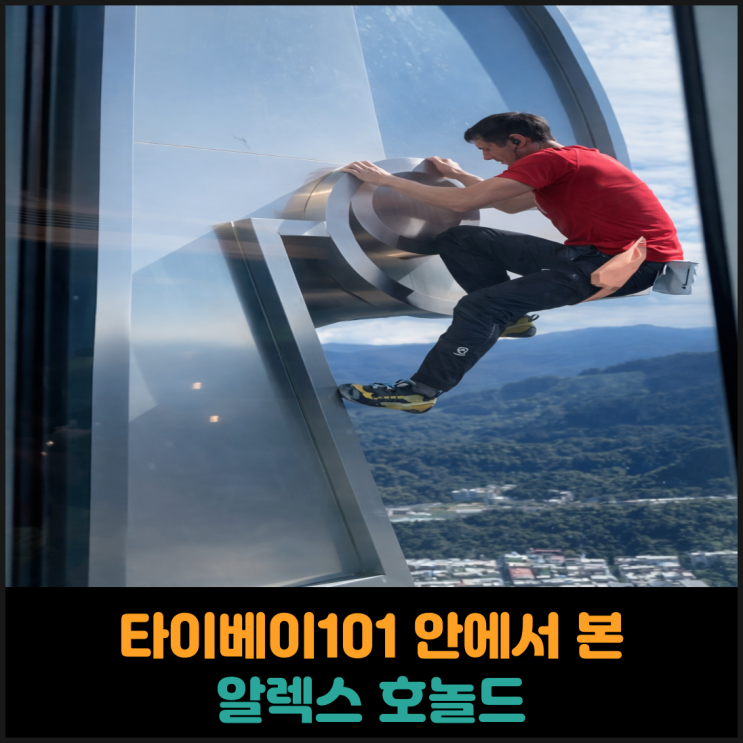 타이베이101 안에서 본 알렉스 호놀드