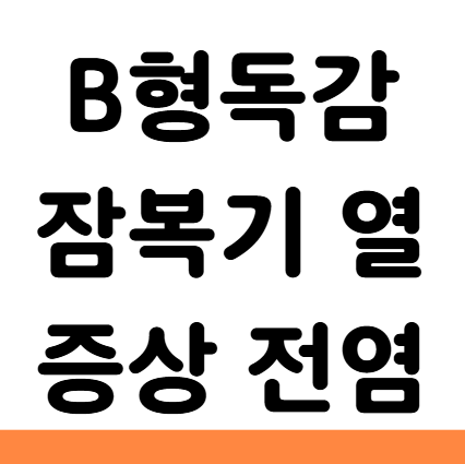  B형독감 잠복기 열 증상 전염