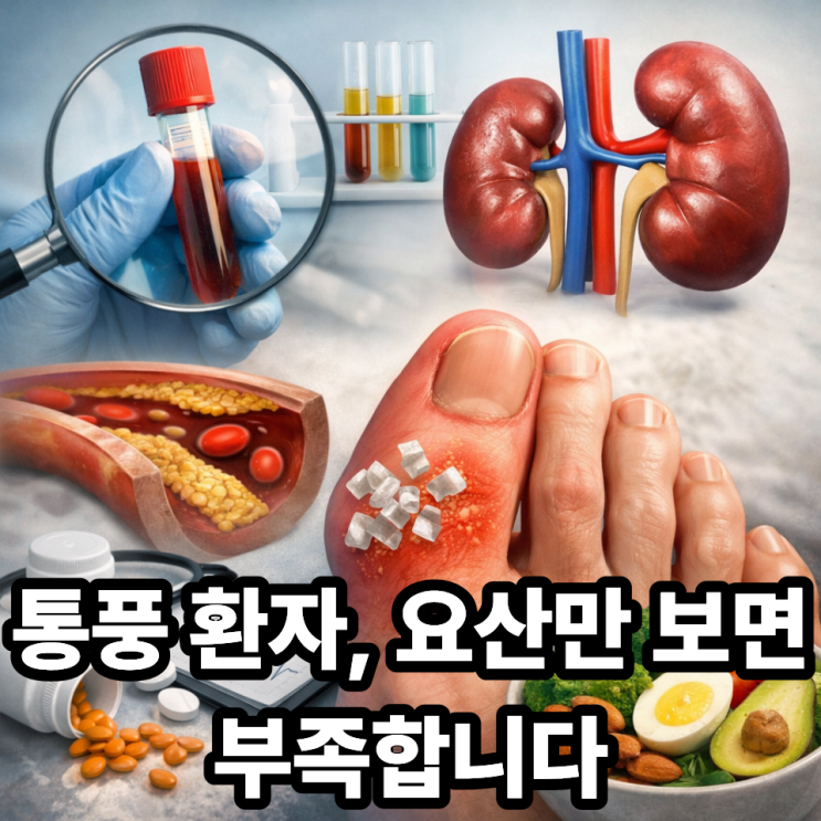  통풍 환자가 건강검진에서 꼭 봐야 할 항목, 요산만 보면 부족한 이유