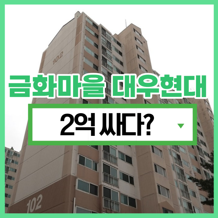  금화마을 대우현대, 경매 가치가 있을까?