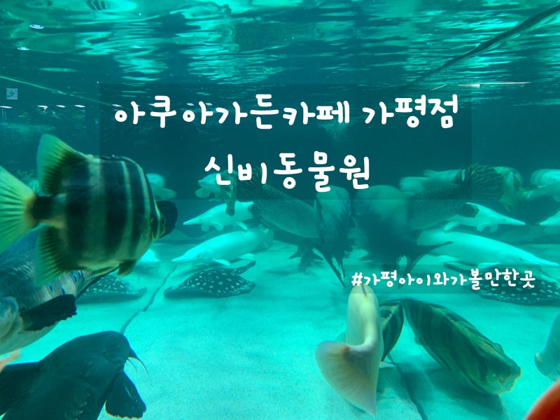 아쿠아가든카페 가평점