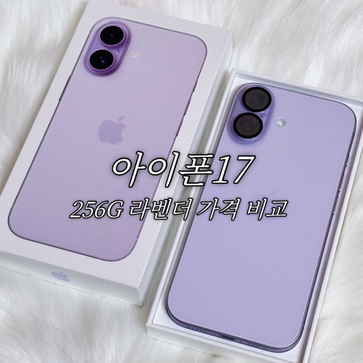  아이폰17 256G 라벤더 솔직 후기 울산성지 KT 공식몰 알뜰폰 가격 비교