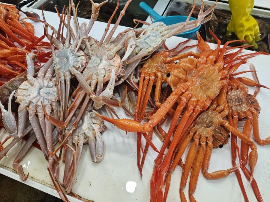 권수산 사진 4
