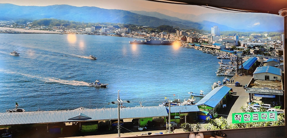 아람착한코다리 사진 6