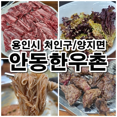  용인시 처인구 양지면 안동 한우촌 가족 외식 한우고기 맛집 후기