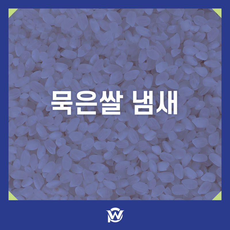 묵은쌀 냄새 나는 이유와 제거 방법 보관법 꿀팁