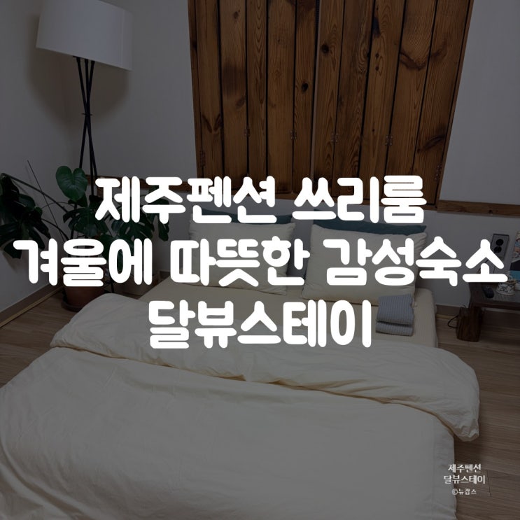  제주펜션 독채 달뷰스테이, 서귀포 겨울 감성숙소