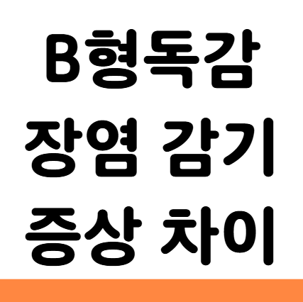 B형독감 장염 감기 증상 차이