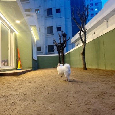 사진 8