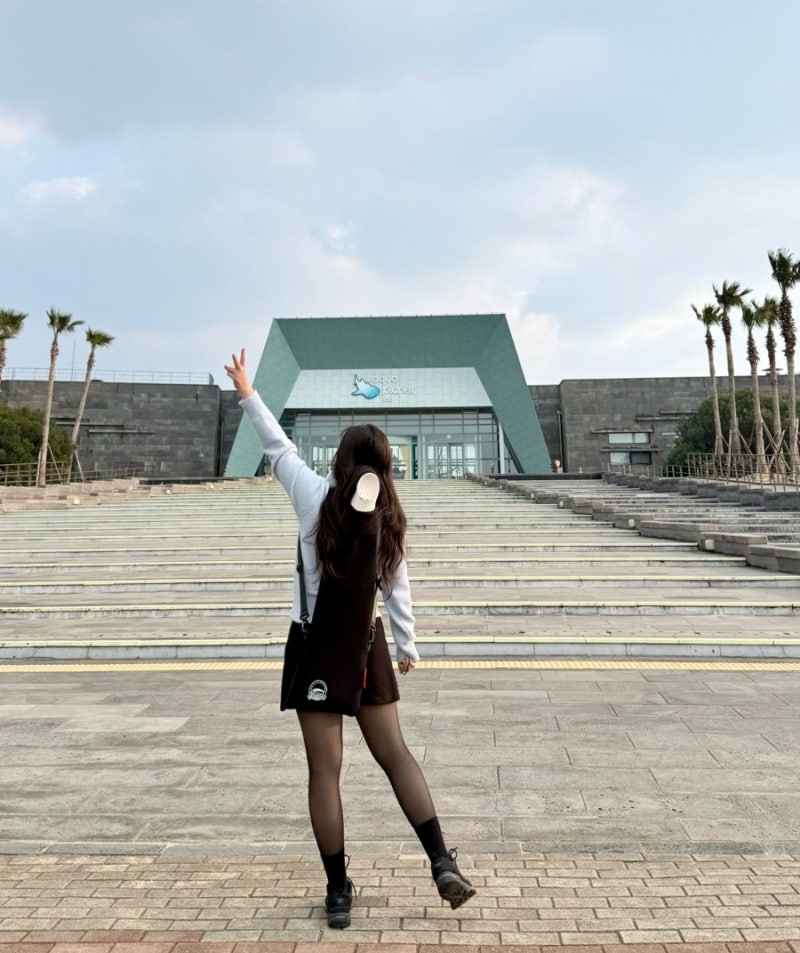 [제주여행] 제주 이색체험, 겨울 제주 프리다이빙, 아쿠아플라넷 대형 수족관 다이빙