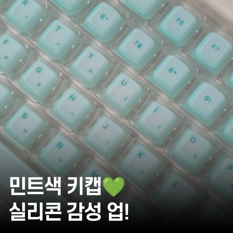  독거미 키캡 민트색으로 바꿔봤어요  몬스타기어 실리콘 113키 써보니