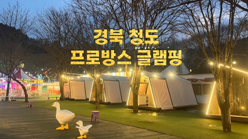 [경북/청도]프로방스 글램핑 빛축제 가성비 숙소 펜션 추천 무료입장