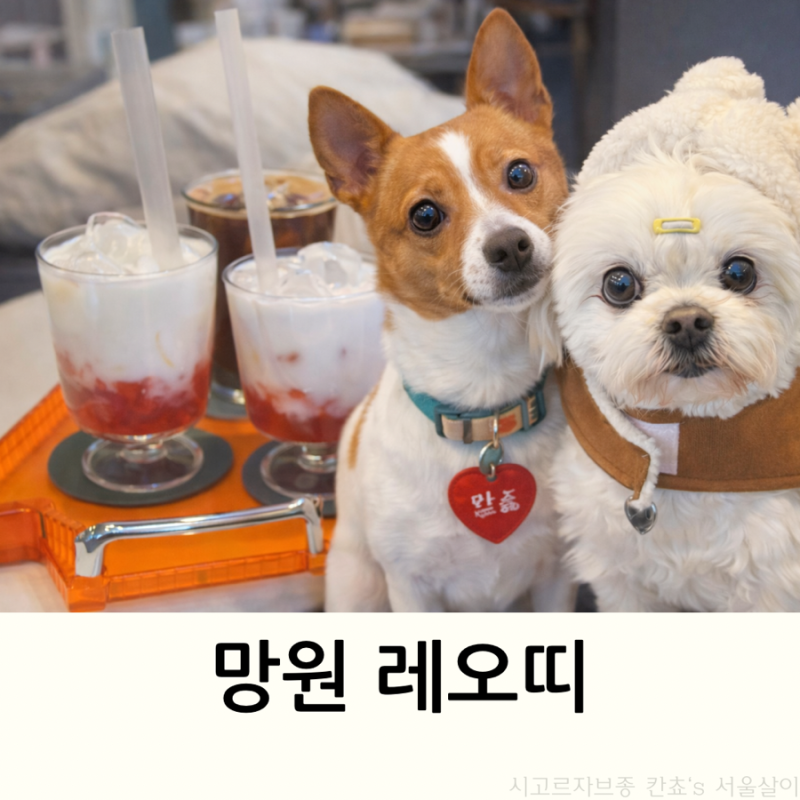 사진 4