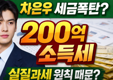 <b>차은우</b> 소득세 200억 실질과세 탈세?