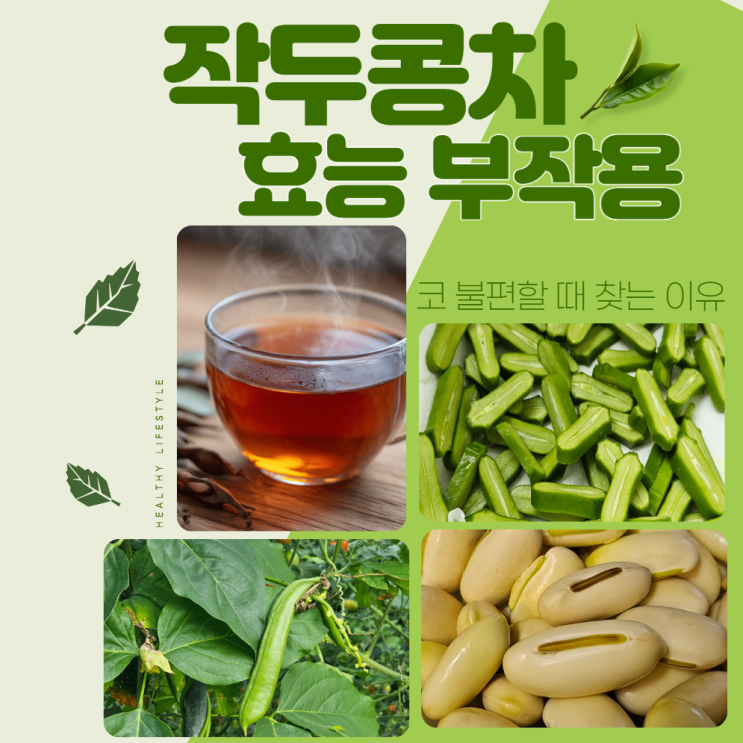  작두콩차 효능 부작용 복용법 카페인
