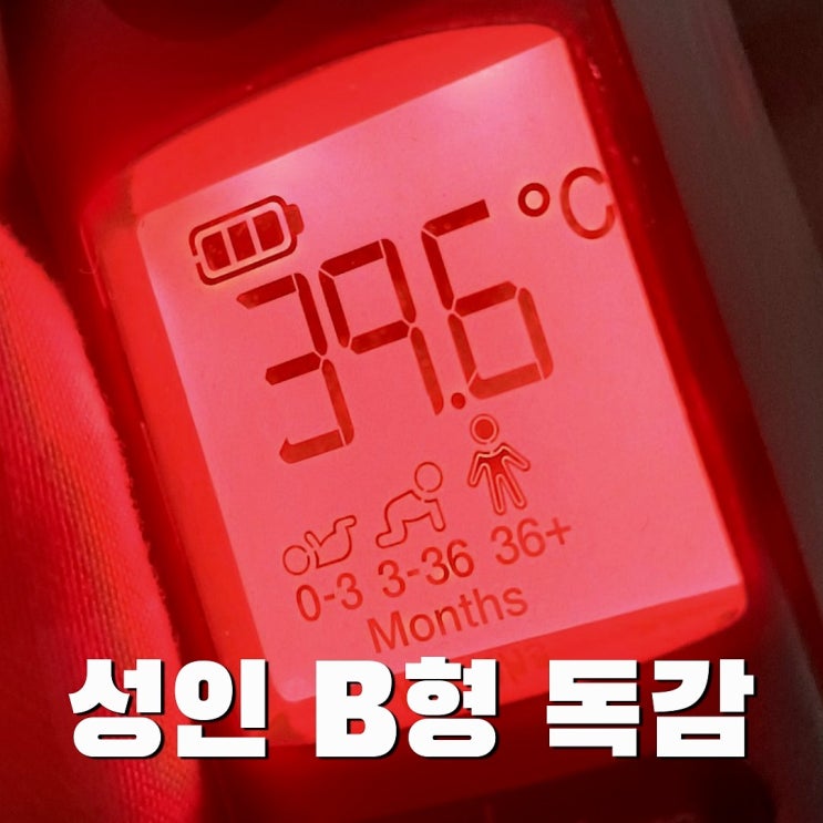  성인 B형 독감 가족 안 옮긴 후기 (울렁거림, 고열, 수액 후 열, 실비)
