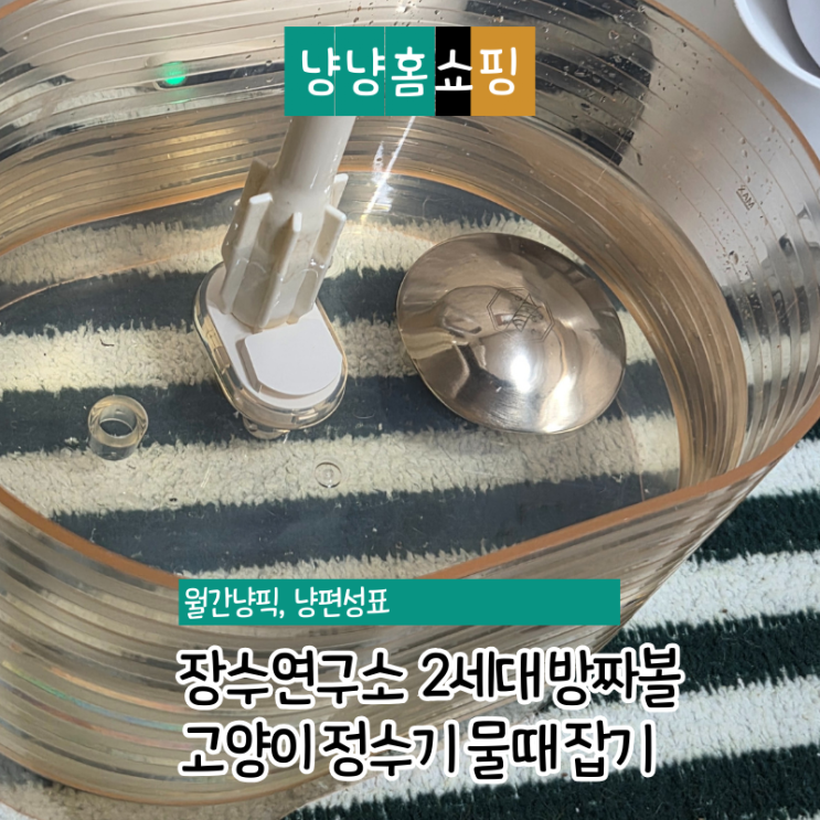  장수연구소 2세대 방짜볼 후기 고양이 강아지 정수기 급수기 물때 미끌거림 살균 및 항균