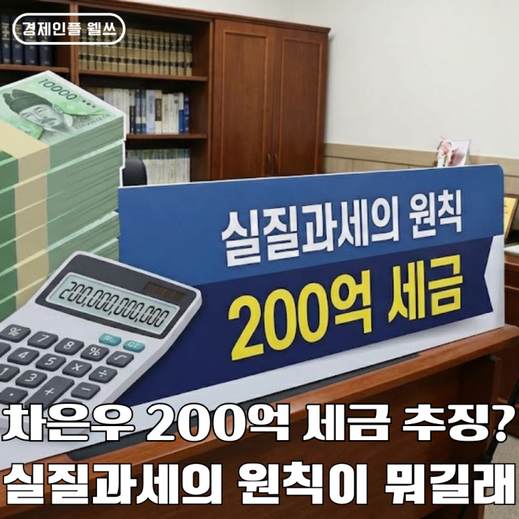 <b>차은우</b> 소득세 200억 부과한 실질과세의 원칙 뭐길래?