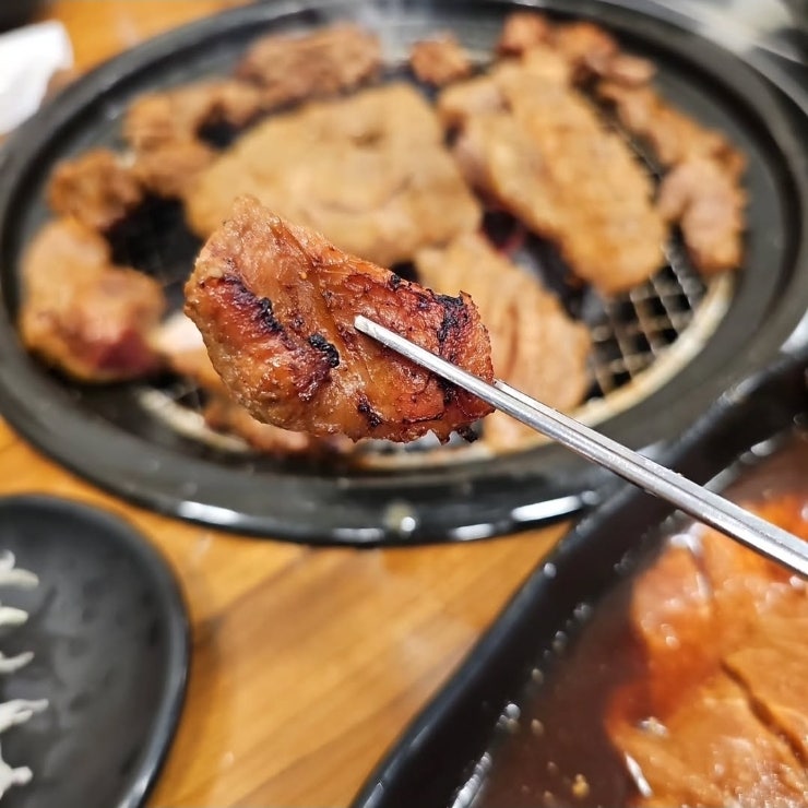황금부엉이 사진 4