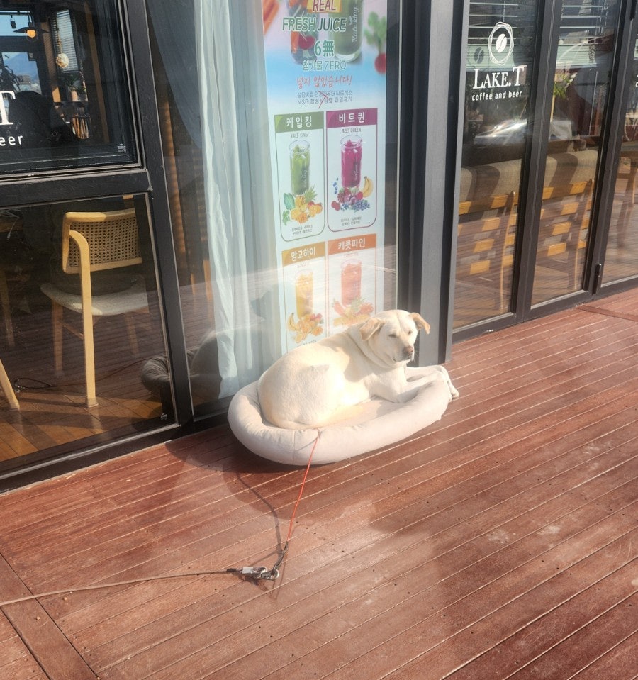 레이크티 사진 1