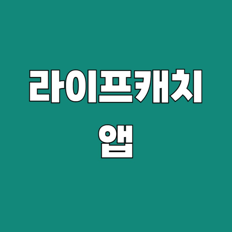 라이프캐치 앱 설치｜어플 다운로드 안내 (2026)