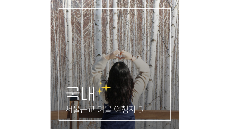  서울근교 여행 ㅣ 설경이 아름다운 당일치기 국내 겨울 여행지 PICK 5