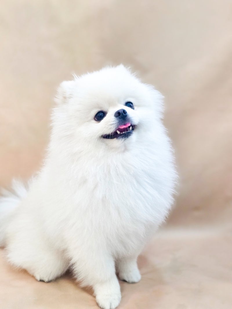 사진 6