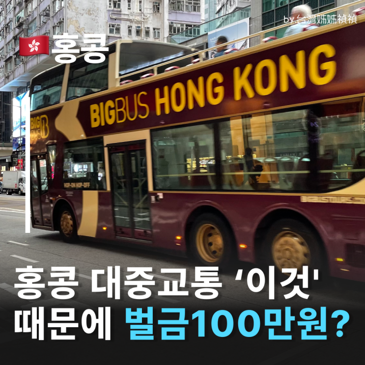  홍콩대중교통 탔는데 벌금 100만원? 홍콩 안전벨트 의무화 진짜 이유