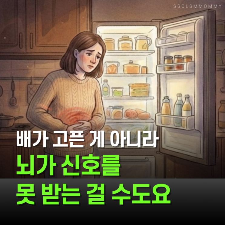  자꾸 허기지면 랩틴호르몬 신호가 흔들린 거예요
