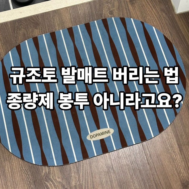 규조토 발매트 발매트 버리는 법! 버리기 전에 꼭 보셔야 해요..