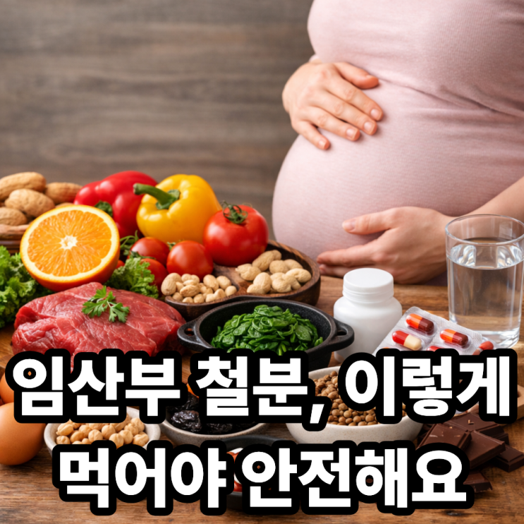  임산부 철분 섭취 시 주의사항  안전하게 먹는 방법 총정리