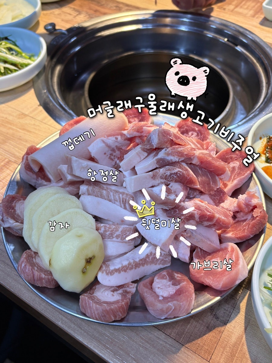 구울래머글래 사진 4