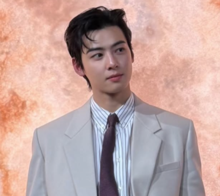  차은우 200억 탈세 의혹, 단순 실수일까? 조사4국이 움직인 진짜 이유와 처벌 가능성까지
