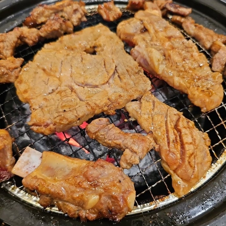 황금부엉이 사진 3