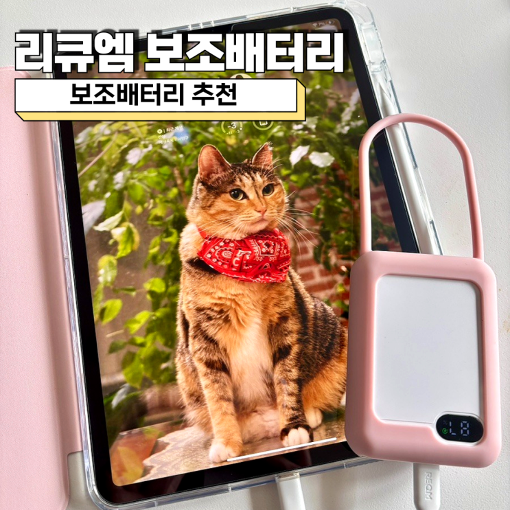  보조배터리 추천 리큐엠 보조배터리 미니 10000mAh