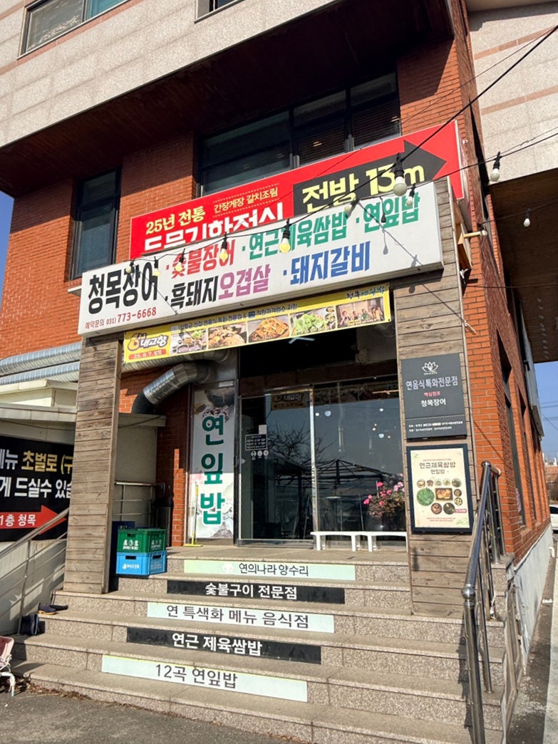 청목장어 사진 3