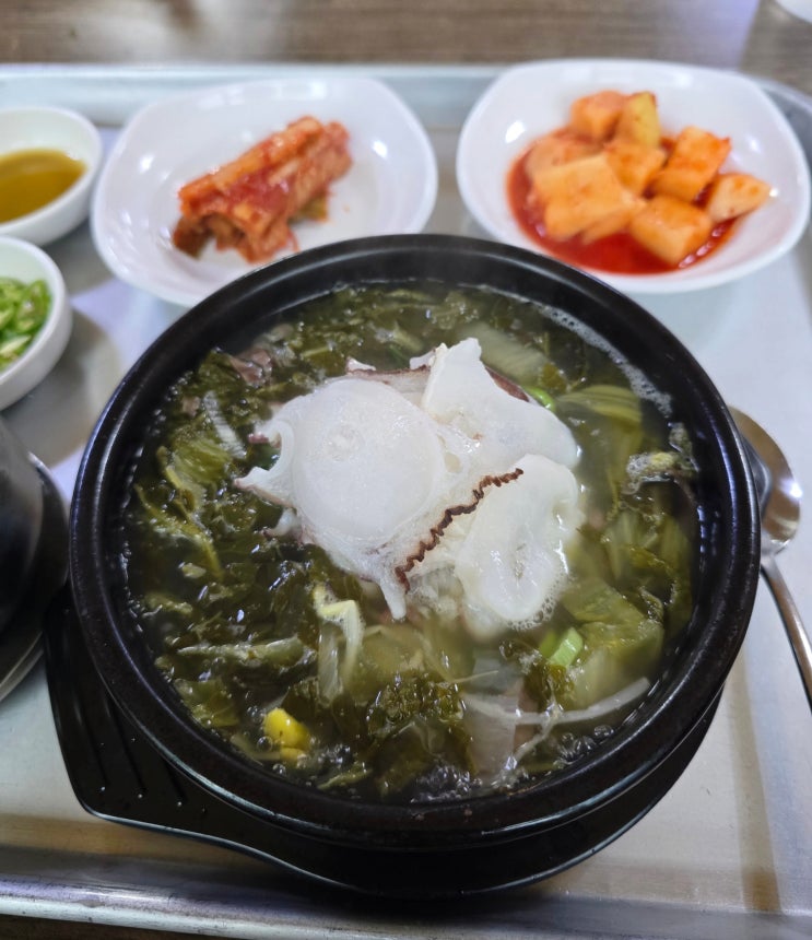  속초문어국밥 내돈내산 후기｜국밥은 인정, 가격은 글쎄