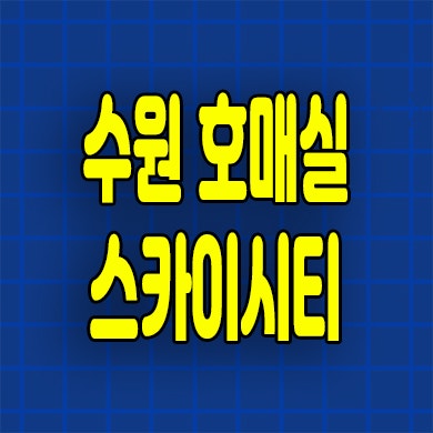  수원 호매실 스카이시티 오피스텔 금곡동 1.5룸 2룸 미분양 잔여세대