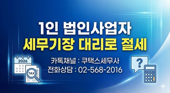  1인 법인사업자 세무기장 대리로 절세하기