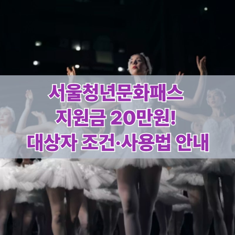 서울청년문화패스 지원금 20만원! 대상자 조건·홈페이지 사용법 안내
