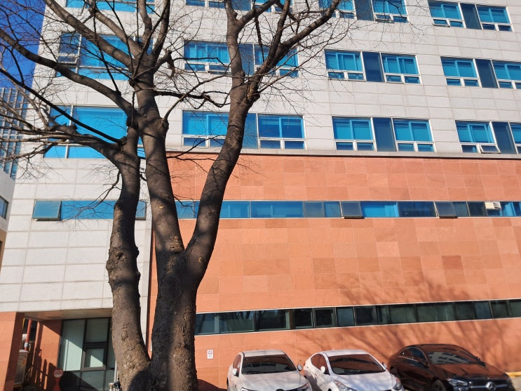  남동구 손해사정의 세밀한 상담