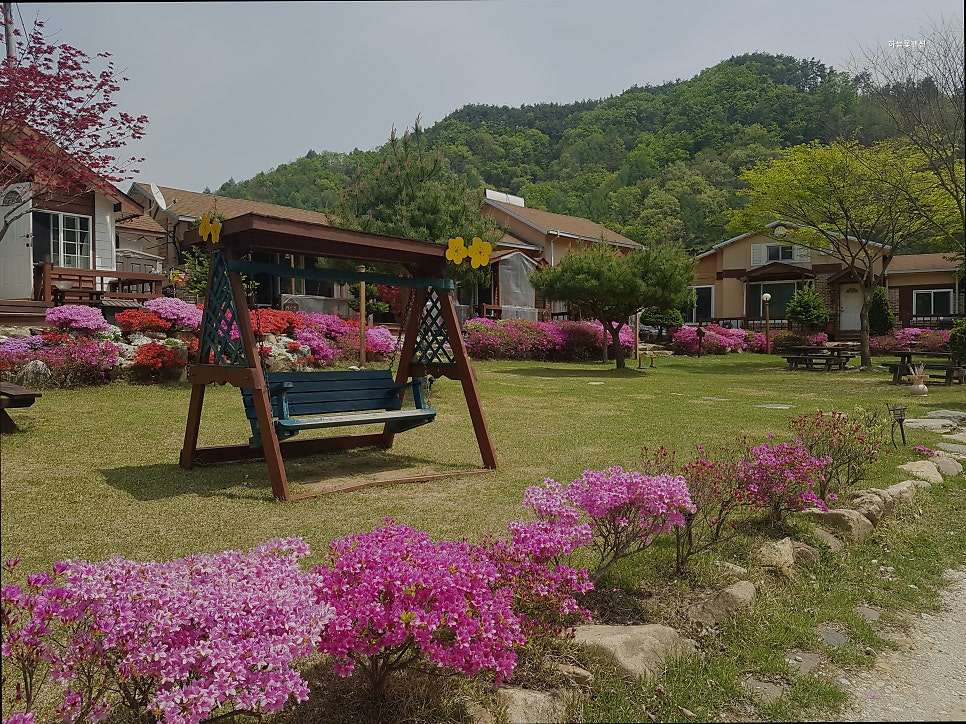 하늘꽃펜션 사진 3