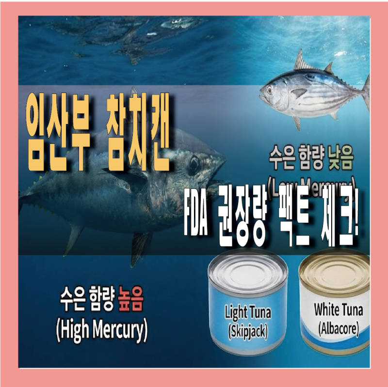 임산부 참치캔 먹어도 될까? FDA 권장량 팩트 체크