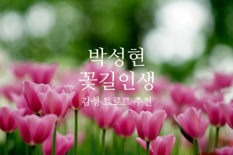 박성현 꽃길인생 노래 가사, 노래듣기, 쉬운 기타코드 + 코드표