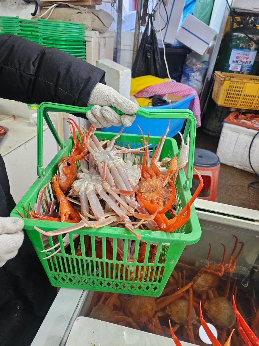 권수산 사진 5