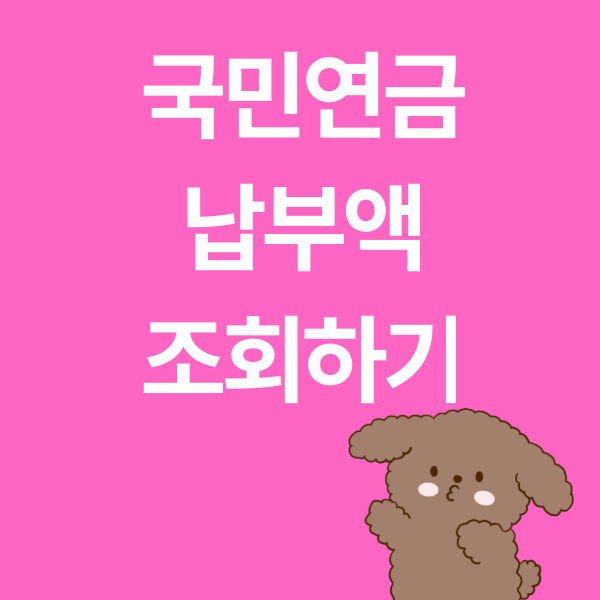 국민연금 납부액 조회방법 공단 홈페이지 및 내 곁에 국민연금 어플 활용 최종 가이드