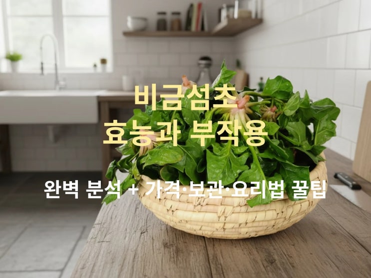  비금섬초 효능과 부작용 완벽 분석 + 가격·보관·요리법 꿀팁