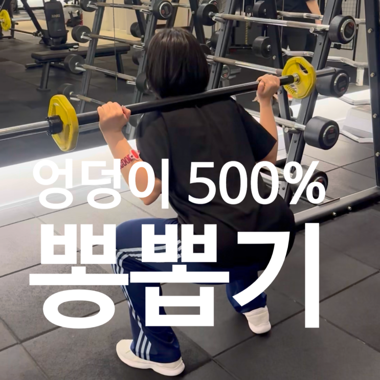  탄현 피티 스쿼트 시 엉덩이 자극 500% 느끼는 법